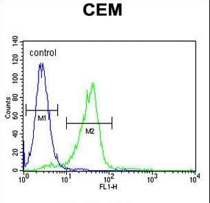 C11orf74 Antibody (aa190-220)