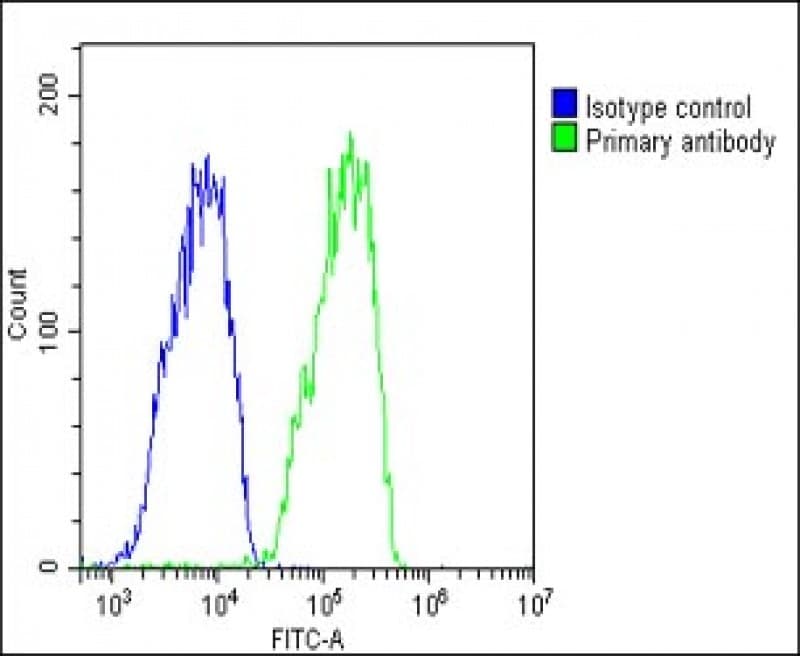 RARRES2 / Chemerin Antibody (Internal)