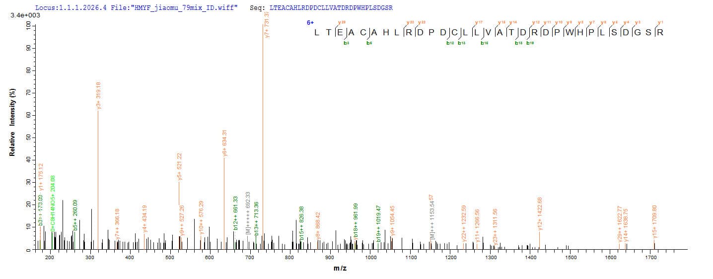 Mouse PDXP / Pyridoxal Phosphatase Protein (Recombinant 6His-SUMO, N-terminus)