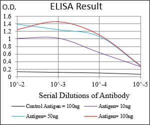 EIF2A / EIF2 Alpha Antibody (aa448-576, clone 3A7A8)
