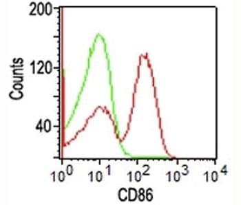 CD86 Antibody (clone BU63, PE)