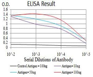 GRIA2 / GLUR2 Antibody (clone 7A7D12)