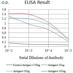SATB2 Antibody (clone 7B2E11)