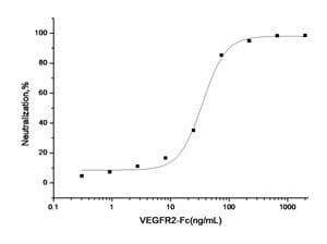 Human KDR / VEGFR2 / FLK1 Protein (Recombinant Human IgG Fc, C-terminus)