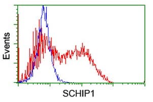 SCHIP1 Antibody (clone OTI2E7)