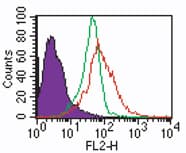 IHC-plus™ TLR7 / CD287 Antibody (aa900-950)