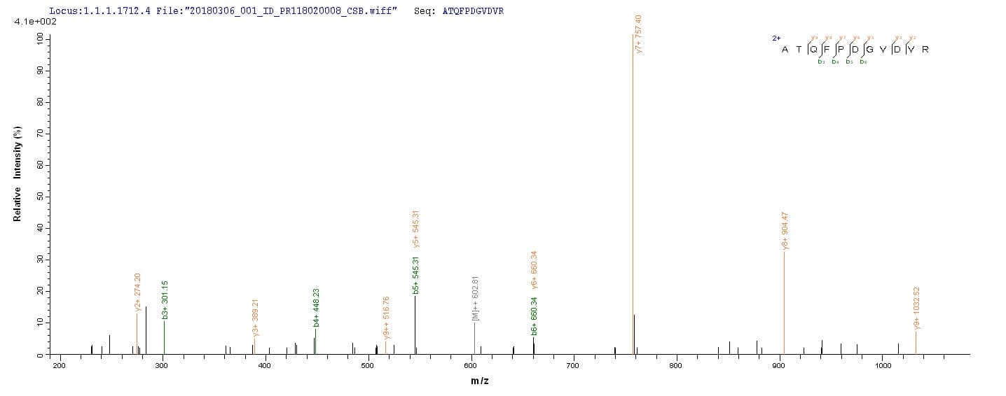 Mouse PLA2G15 / ACS Protein (Recombinant 10His, N-terminus + Myc, C-terminus)