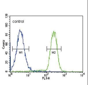 HSD17B2 Antibody (aa265-294)