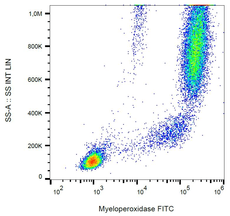 Monoclonal Mouse anti-Human MPO / Myeloperoxidase Antibody (clone MPO421-8B2, FITC)