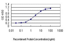 TNP1 / TP1 Antibody (clone 1B5)