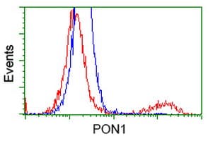 PON1 / ESA Antibody (clone OTI2A6, Carrier-free)