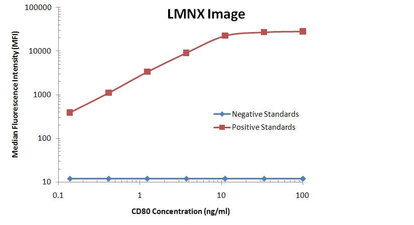 Monoclonal Mouse anti-Human CD80 Antibody (clone OTI1G9, WB)