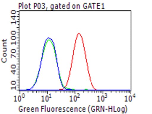 Monoclonal Mouse anti-Human CD274 / B7-H1 / PD-L1 Antibody (clone OTI3F5, WB)