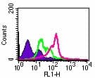 TLR2 Antibody (clone TL2.1)