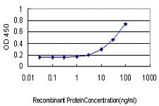 IHC-plus™ Monoclonal Mouse anti-Human RBP4 Antibody (clone 4H7, IHC, WB)