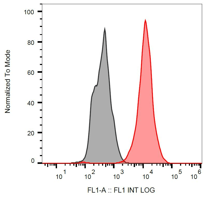 Monoclonal Mouse anti-Human TP53 / p53 Antibody (clone BP53-12, FITC, aa16-25, IHC, WB)