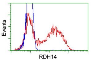 RDH14 Antibody (clone OTI1A7)