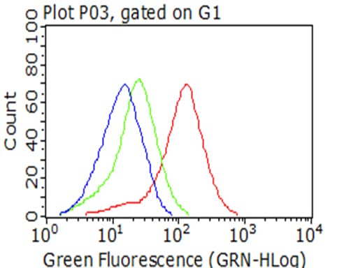 IGF1R / IGF1 Receptor Antibody (aa741-935, clone OTI11E4)