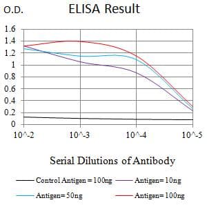KMT2A / MLL Antibody (clone 4A5A12)