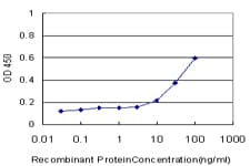 RLN1 / Relaxin Antibody (clone 1H6)