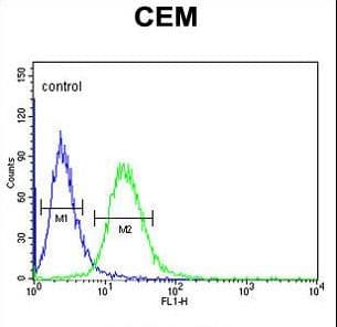 Polyclonal Rabbit anti-Human GABRA4 Antibody (aa350-377, IHC, WB)