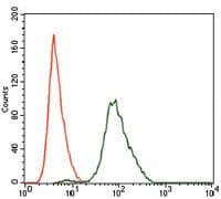 SPIB Antibody (Amino Acid: 200-252, clone 4G5)