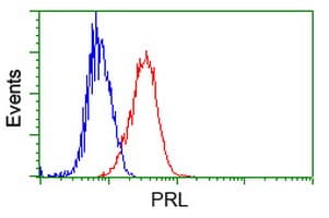 PRL / Prolactin Antibody (clone OTI6B1, Carrier-free)