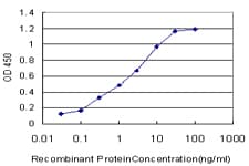 Monoclonal Mouse anti-Human CD32A Antibody (clone 3E8, WB)