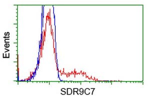 SDR9C7 Antibody (clone OTI4B5)