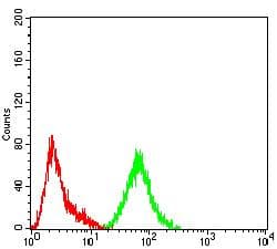 SATB2 Antibody (clone 7B2E11)