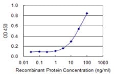 COX15 Antibody (clone 2D2)