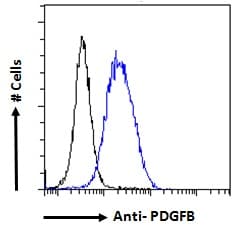 IHC-plus™ PDGF-BB Antibody (aa222-233)