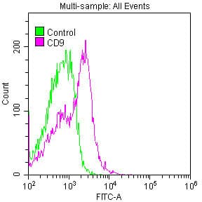 CD9 Antibody