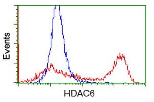 Monoclonal Mouse anti-Human HDAC6 Antibody (clone OTI1B3, IHC, IF, WB)