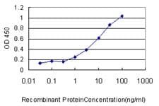 RPN1 / Ribophorin I Antibody (clone 2C10-2F6)