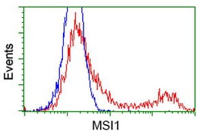 MSI1 / Musashi 1 Antibody (clone OTI2E9, Carrier-free)