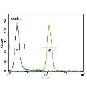 BBC3 / PUMA Antibody (aa119-154)