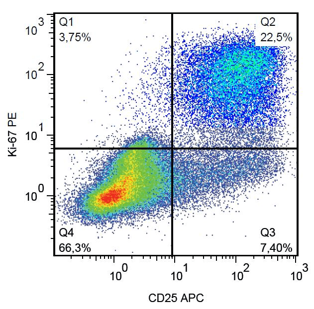 MKI67 / Ki67 Antibody (clone Ki-67, PE)