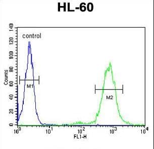 CD69 Antibody (aa119-148)