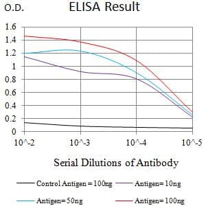 FCRL3 Antibody (clone 4B4B2)