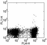 SPN / CD43 Antibody (clone R2/60, FITC)