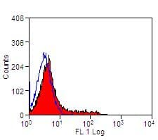 CD86 Antibody (clone IL-A190)