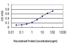 SSR4 Antibody (clone 2D3)