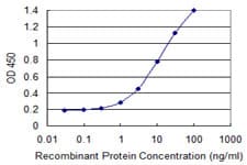 Monoclonal Mouse anti-Human ZNF69 Antibody (clone 1E3)