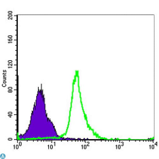 Monoclonal Mouse anti-Human NFKB1 / NF-Kappa-B Antibody (IHC, WB)
