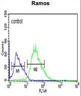 PPP1R18 Antibody (aa192-220)