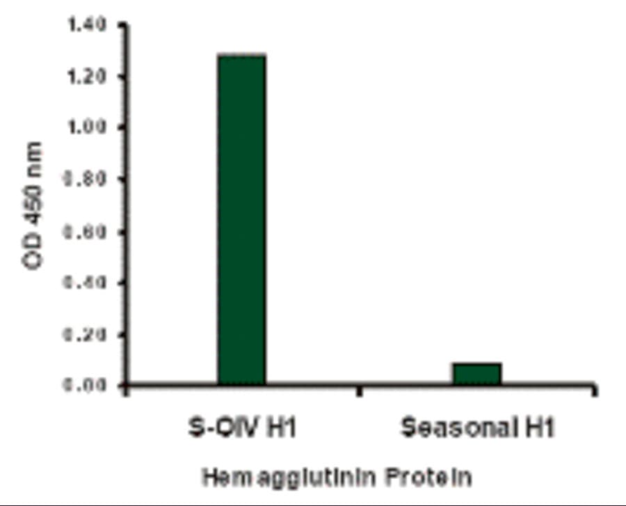 Polyclonal Rabbit anti-Virus Influenza A Virus Hemagglutinin Antibody (WB)
