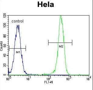 EPOR / EPO Receptor Antibody (aa329-357)