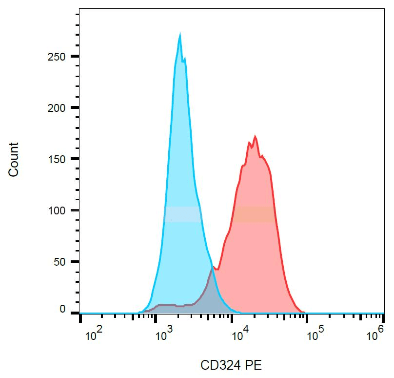 CDH1 / E Cadherin Antibody (clone 67A4, PE)