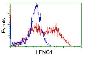 LENG1 Antibody (clone OTI3G6, Carrier-free)